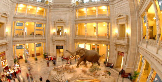 smithsonian-museum-natural-history