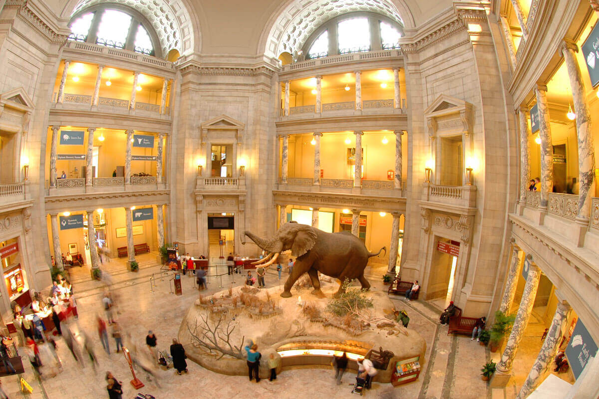 Smithsonian Museum Natural History 