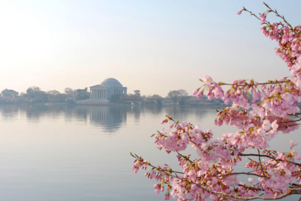 Most Scenic Views of Washington DC To See On Vacation