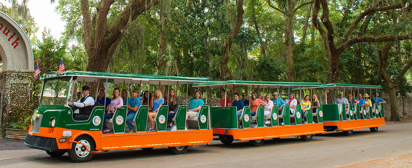 St. Augustine trolley driving past a wall of oak trees and part of the fountain of youth entrance arch