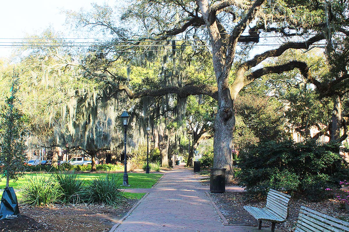 Savannah Taylor Square