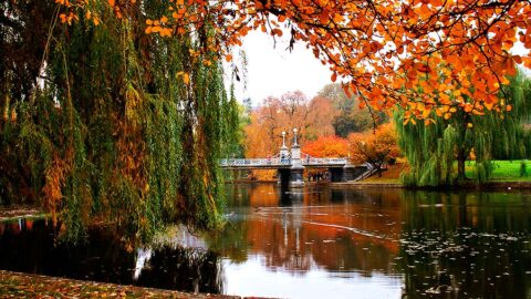 Boston Public Garden in the fall