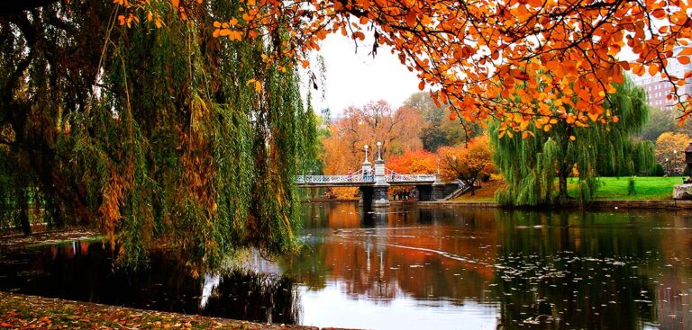 Boston Public Garden in the fall