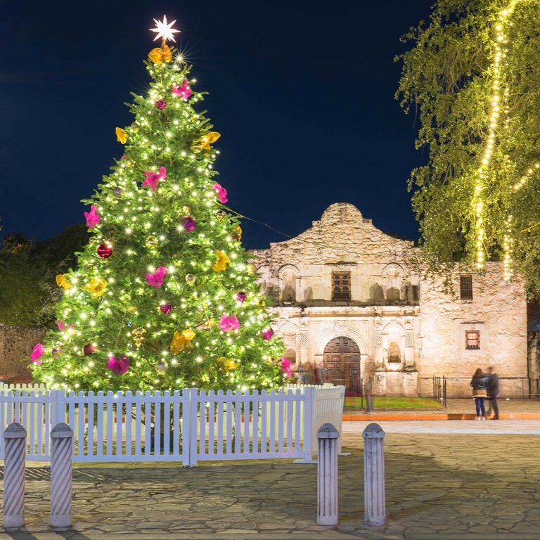 San Antonio Alamo and Christmas tree