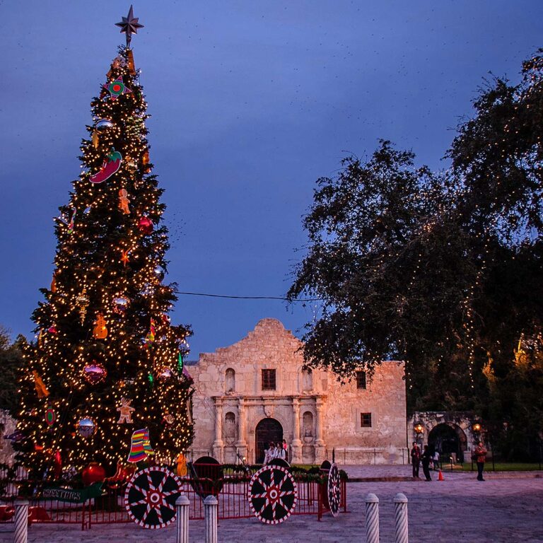 San Antonio Alamo and Christmas tree