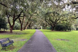 Charles Towne Landing Charleston showcasing lush greenery