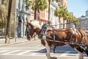 People enjoying the historic Charleston Carriage Tour, a popular activity in the city